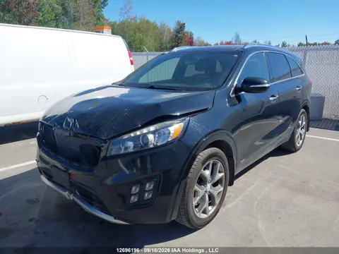 2016 KIA Sorento 2.0l Sx VIN 5XYPKDA19GG075016 фото 2
