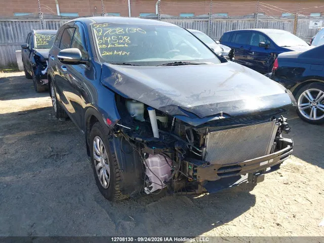 2020 KIA Sorento 2.4l Lx/2.4l Lx+/3.3l Lx+ VIN 5XYPGDA38LG614528 фото 1