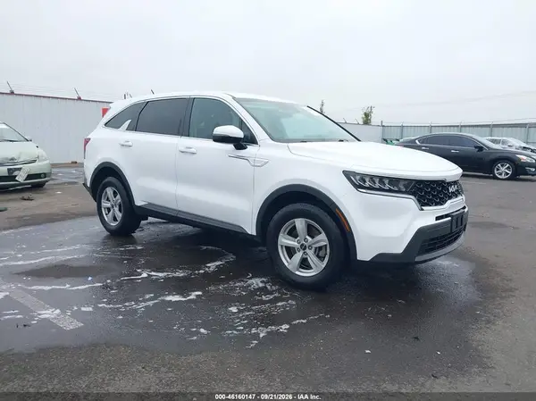 5XYRGDLC2PG209695 — 2023 Kia Sorento, Задняя часть (Rear), фото до ремонта