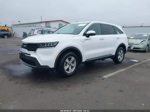 5XYRGDLC2PG209695 — 2023 Kia Sorento, фото 2 с аукциона IAAI, Задняя часть