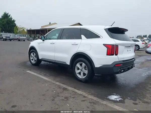 5XYRGDLC2PG209695 — 2023 Kia Sorento, фото 3 с аукциона IAAI, Задняя часть