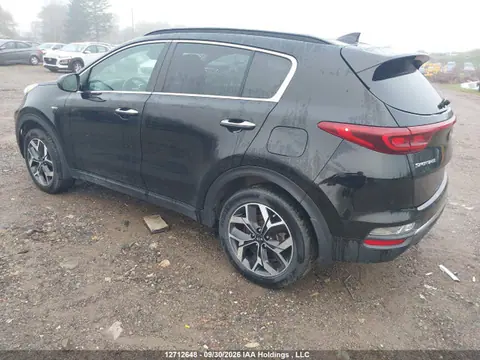 2020 KIA Sportage Ex VIN KNDPNCAC5L7648617 фото 3