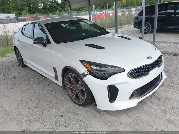KNAE35LC9K6051719 — 2019 Kia Stinger, Левый бок (Left Side), фото до ремонта