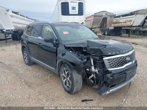 2020 KIA Telluride Ex VIN 5XYP3DHC0LG013938 фото 1