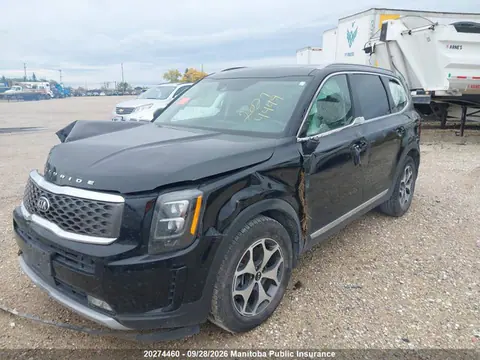 2020 KIA Telluride Ex VIN 5XYP3DHC0LG013938 фото 2
