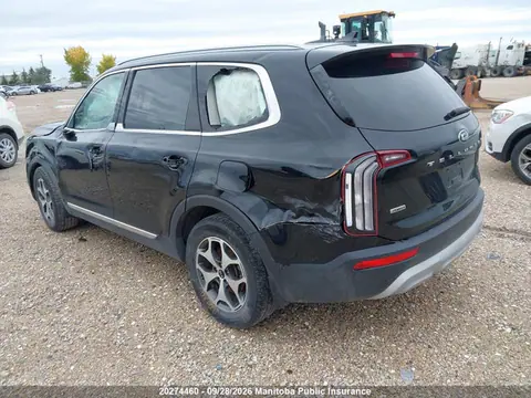 2020 KIA Telluride Ex VIN 5XYP3DHC0LG013938 фото 3