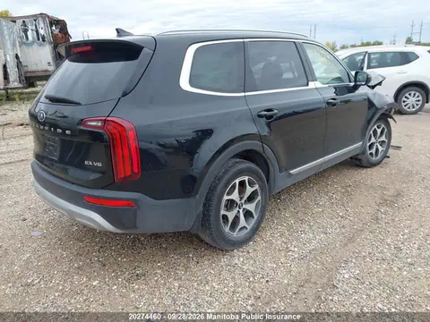 2020 KIA Telluride Ex VIN 5XYP3DHC0LG013938 фото 4