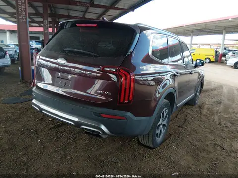 2020 KIA Telluride Ex VIN 5XYP34HC7LG030770 фото 4