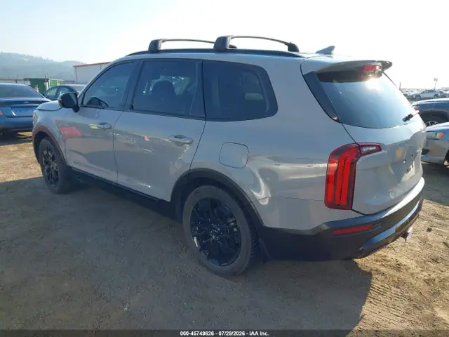 2022 KIA Telluride Sx VIN 5XYP5DHC2NG240187 фото 3
