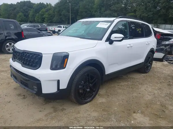 5XYP5DGC1SG610915 — 2025 Kia Telluride, фото 2 с аукциона IAAI, Задняя часть