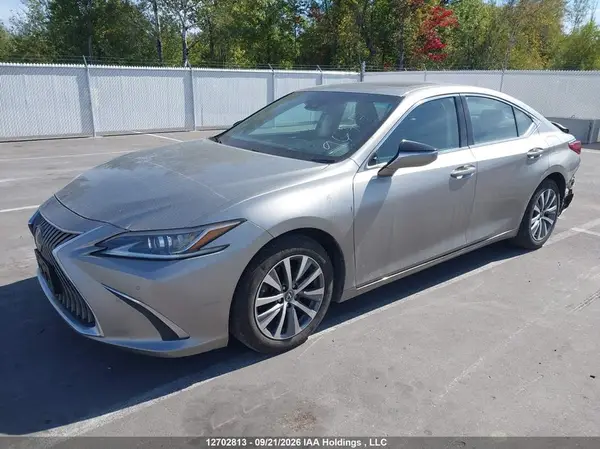 58ABZ1B19LU069345 — 2020 Lexus ES, фото 2 с аукциона IAAI 29.09.2026, Задняя часть