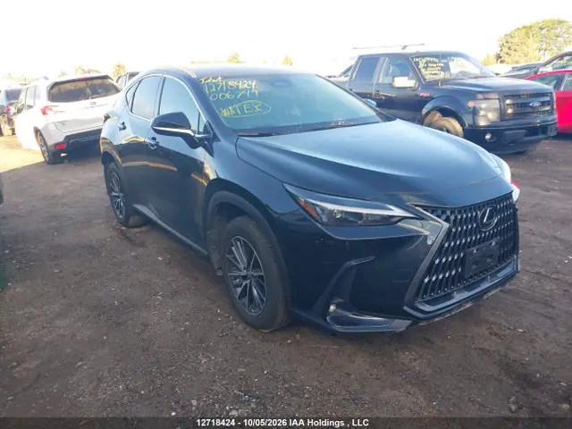 2T2ADCEZ1SC006749 — 2025 Lexus NX 250, Подтопление (Water), фото до ремонта