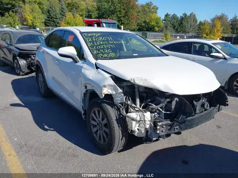 JTJAARDZ0M5027591 — 2021 Lexus Nx 300 Base/300 Luxury/300 F Sport, Передняя часть (Front), фото до ремонта
