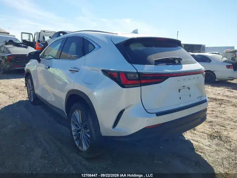 2022 Lexus Nx 350h 350h VIN 2T2GKCEZ7NC009093 фото 3