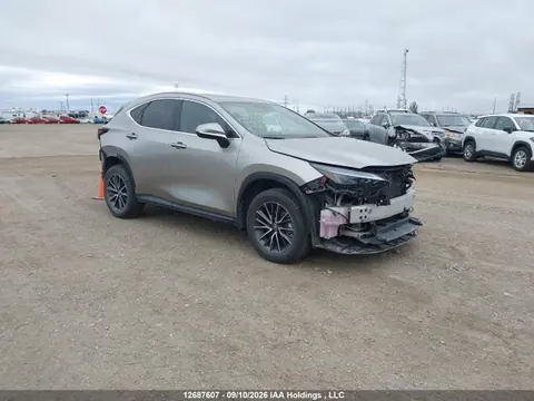 2024 Lexus Nx 350h 350h VIN 2T2GKCEZ7RC022898 фото 1