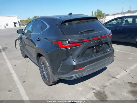 2026 Lexus Nx 350h 350h VIN 2T2GKCEZ0TC072985 фото 3