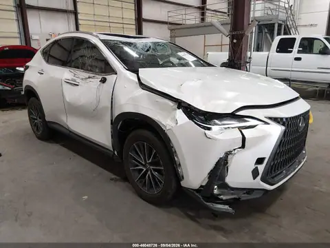 2T2GKCEZ4RC020137 — 2024 Lexus Nx 350H Premium, Передняя часть (Front End), фото до ремонта