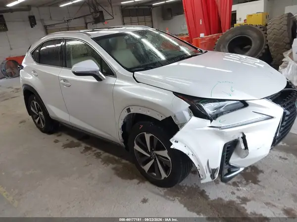 JTJBARBZ9K2204077 — 2019 Lexus NX, Передняя часть (Front End), фото до ремонта