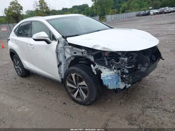 JTJBARBZ1K2202226 — 2019 Lexus NX, Передняя часть (Front End), фото до ремонта