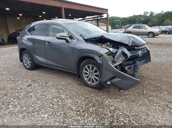 JTJBARBZ9K2184509 — 2019 Lexus NX, Передняя часть (Front End), фото до ремонта