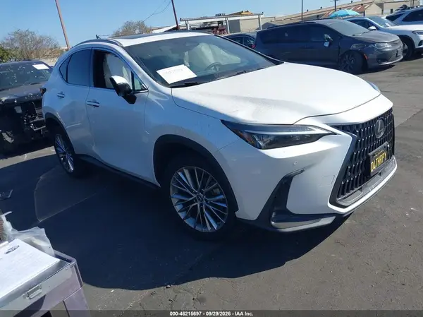 2T2GKCEZ8PC015083 — 2023 Lexus NX, LEFT & RIGHT SIDE, фото до ремонта