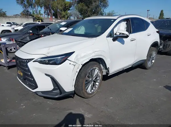 2T2GKCEZ8PC015083 — 2023 Lexus NX, фото 2 с аукциона IAAI, LEFT & RIGHT SIDE