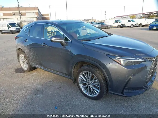 2T2GGCEZ2RC057284 — 2024 Lexus NX, Левый бок (Left Side), фото до ремонта