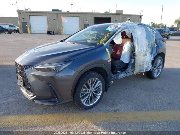 2T2GGCEZ2RC057284 — 2024 Lexus NX, фото 2 с аукциона IAAI 29.09.2026, Левый бок