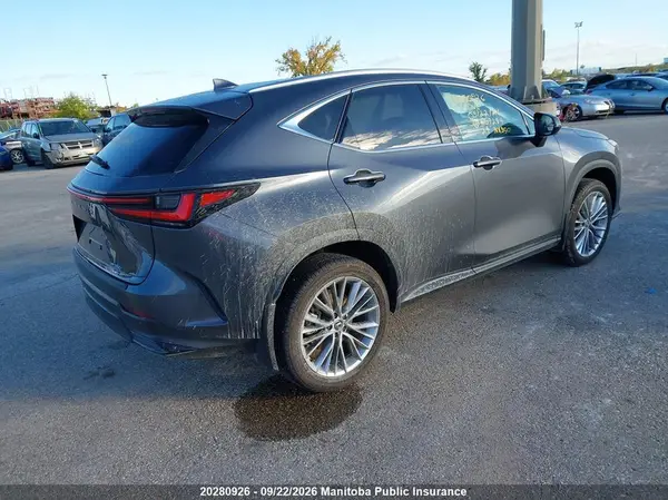2T2GGCEZ2RC057284 — 2024 Lexus NX, фото 4 с аукциона IAAI 29.09.2026, Левый бок