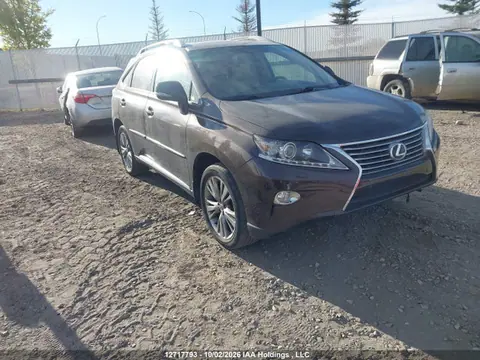 2T2BK1BA6EC228432 — 2014 Lexus RX 350/Base/F Sport, Подтопление (Water), фото до ремонта