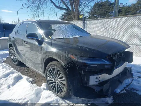 2T2BBMCA3RC062666 — 2024 Lexus RX 350H, Повреждения со всех сторон (All Over), фото до ремонта