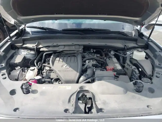 5TDAAAB67RS017686 — 2024 Lexus TX 350, фото 10 с аукциона IAAI 14.10.2026, Задняя часть