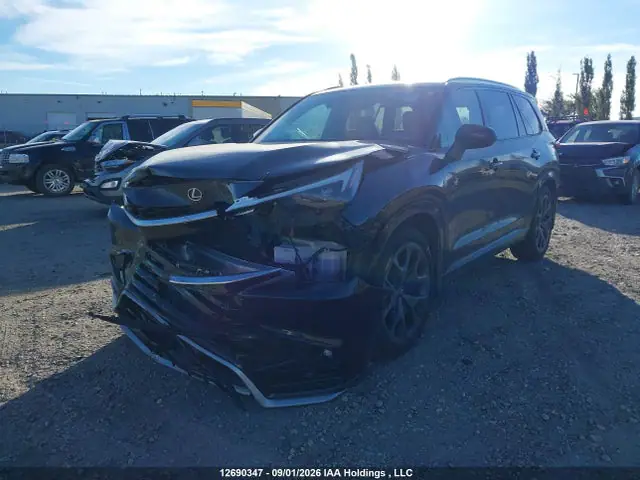 5TDABAB60RS000127 — 2024 Lexus Tx 500H, фото 2 с аукциона IAAI 29.09.2026, Передняя часть