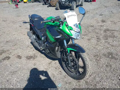 2022 Lifa 250cc Motorcycle VIN LXAPRVP72NX000128 фото 1