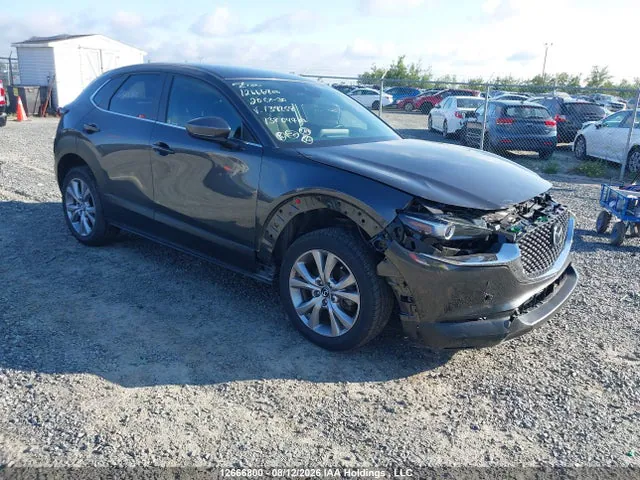 2020 Mazda Cx-30 Gs VIN 3MVDMACL1LM138258 фото 1