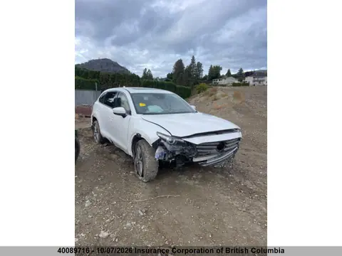 JM3TCBDY2K0319507 — 2019 Mazda CX-9, Roll Over, фото до ремонта