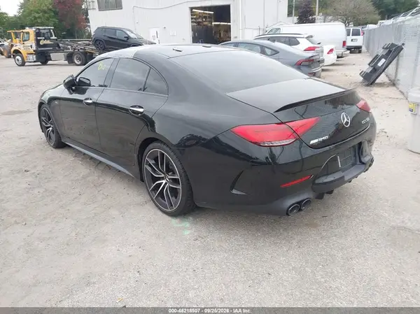 WDD2J6BB3KA028286 — 2019 Mercedes-Benz CLS-Klasse, фото 3 с аукциона IAAI, Биологическая или химическая опасность
