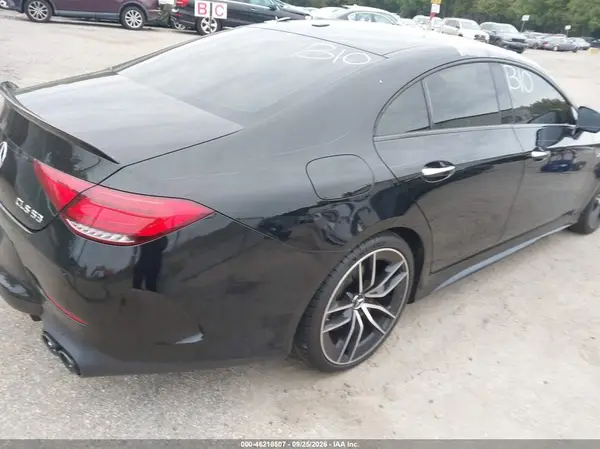 WDD2J6BB3KA028286 — 2019 Mercedes-Benz CLS-Klasse, фото 4 с аукциона IAAI, Биологическая или химическая опасность