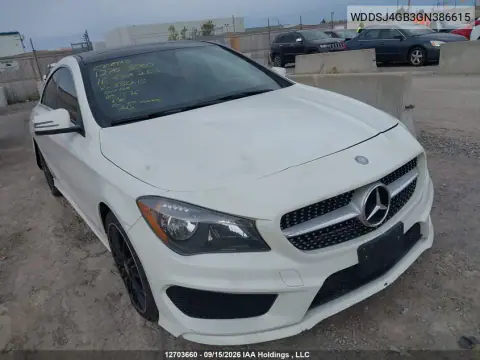 WDDSJ4GB3GN386615 — 2016 Mercedes CLA-Klasse, Вода, фото до ремонта