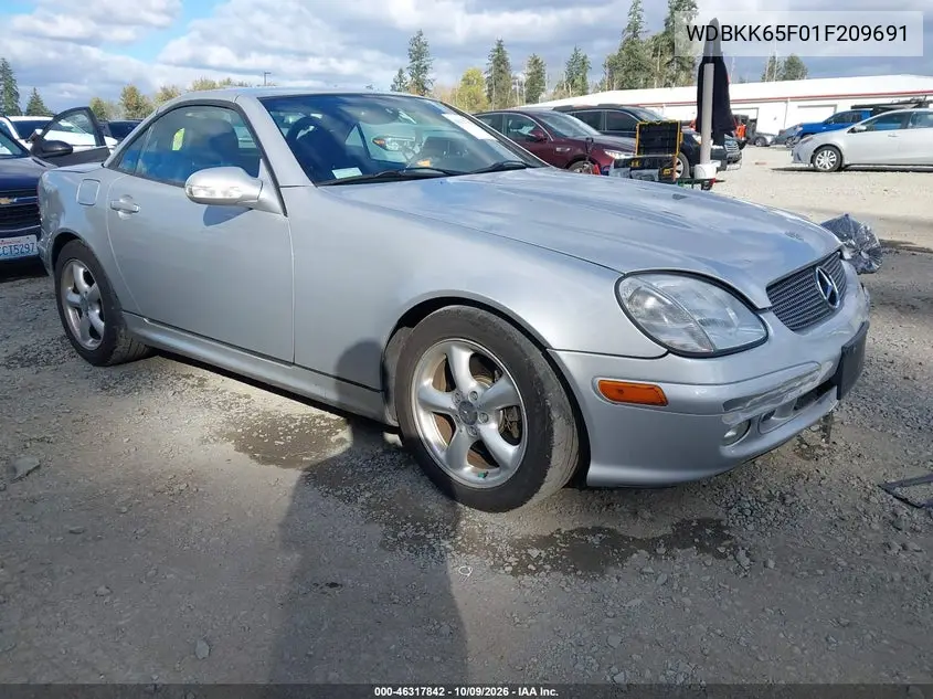 2001 Mercedes-Benz Slk 320 VIN WDBKK65F01F209691 фото 2