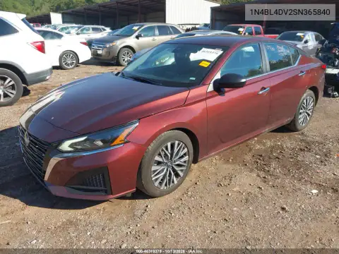 1N4BL4DV2SN365840 — 2025 Nissan Altima, фото 3 с аукциона IAAI, Боковая часть