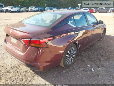 1N4BL4DV2SN365840 — 2025 Nissan Altima, фото 5 с аукциона IAAI, Боковая часть