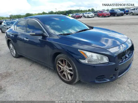 1N4AA51E09C815244 — 2009 Nissan Maxima, Естественный износ, фото до ремонта