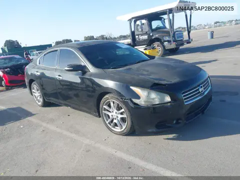 2011 Nissan Maxima 3.5 Sv VIN 1N4AA5AP2BC800025 фото 2