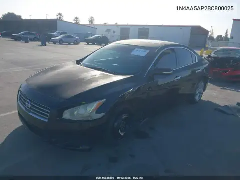 2011 Nissan Maxima 3.5 Sv VIN 1N4AA5AP2BC800025 фото 3