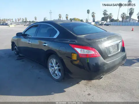 2011 Nissan Maxima 3.5 Sv VIN 1N4AA5AP2BC800025 фото 4