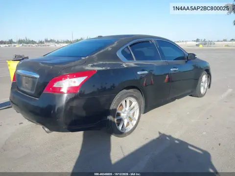 2011 Nissan Maxima 3.5 Sv VIN 1N4AA5AP2BC800025 фото 5