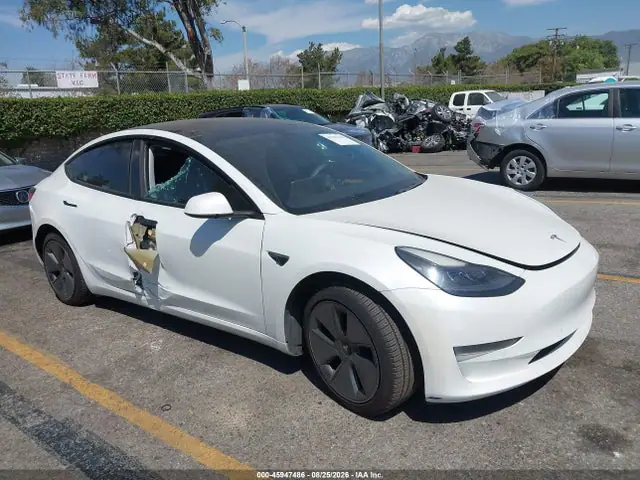 5YJ3E1EA7MF003524 — 2021 Tesla Model 3 Standard Range Plus Rear-Wheel Drive, Правый бок (Right Side), фото до ремонта