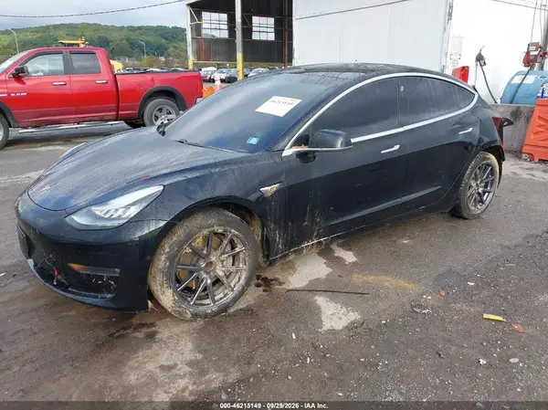5YJ3E1EA0KF402711 — 2019 Tesla Model 3, фото 2 с аукциона IAAI, Задняя часть