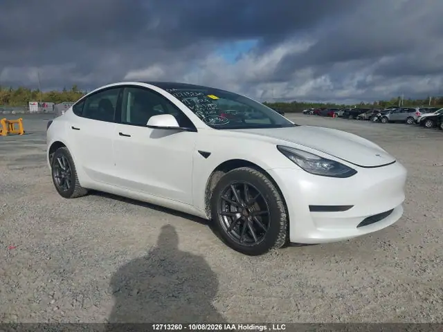 5YJ3E1EA0MF843385 — 2021 Tesla Model 3, Under Carriage, фото до ремонта